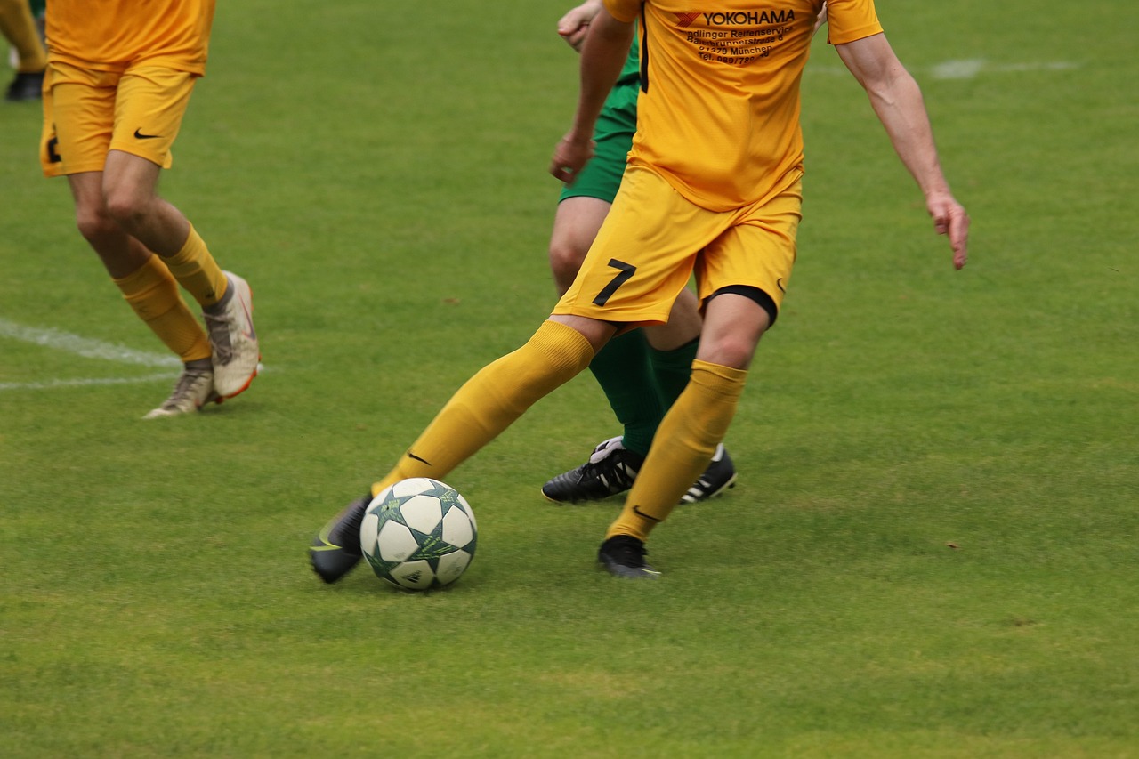 斯内德的职 斯内德的职