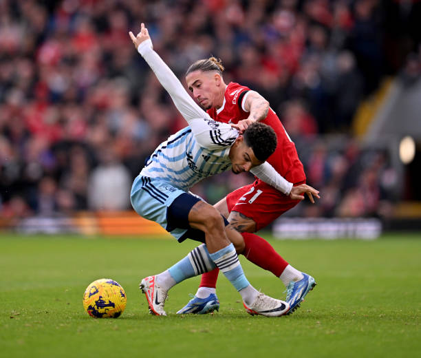 官方宣布巴 官方宣布巴